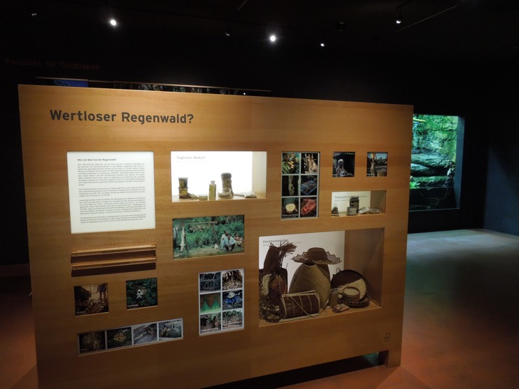 Ausstellung Regenwald - Zoo Zürich