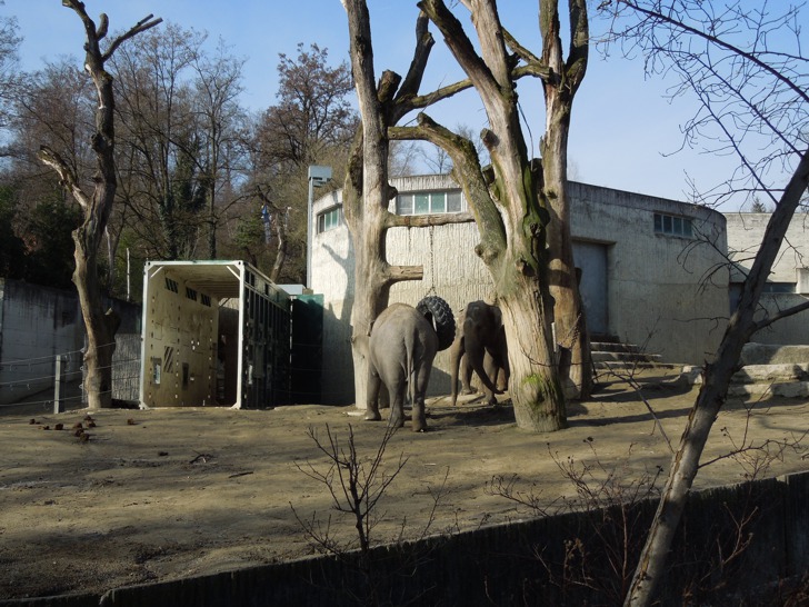 Altes Elefantengehege Zoo Zürich